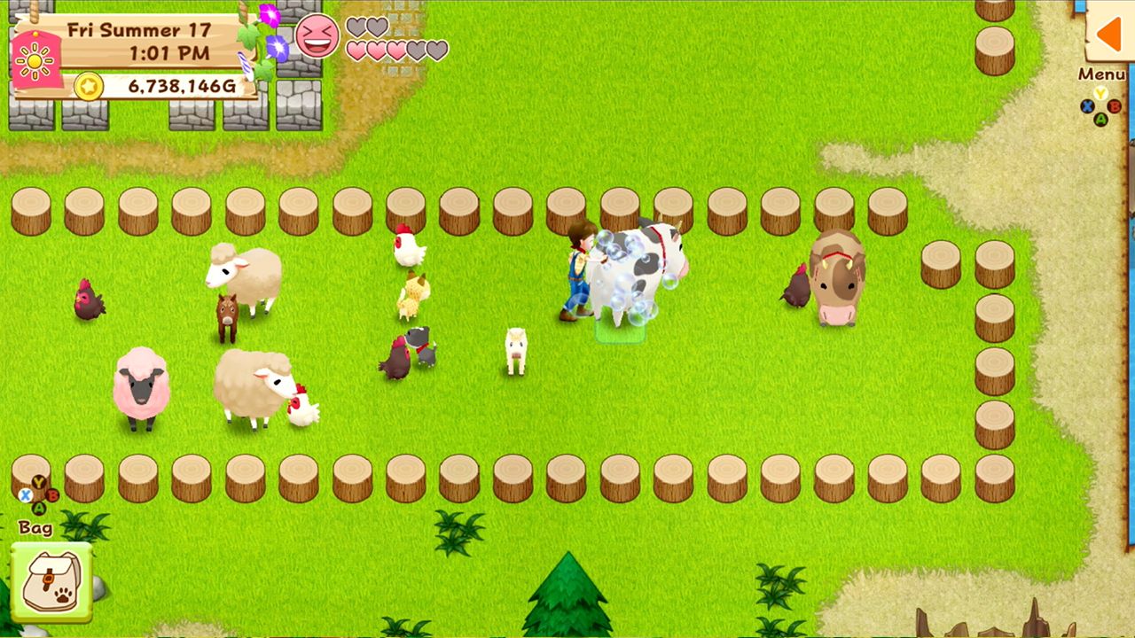 Screenshot from Harvest Moon: Light of Hope Special Edition (6/6)