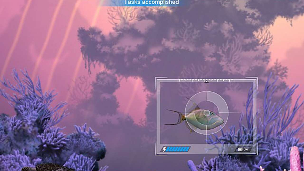 Screenshot from Caribbean Sea Fishes (5/9)