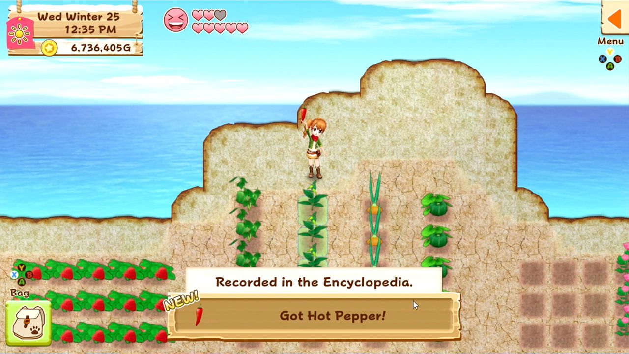Screenshot from Harvest Moon: Light of Hope Special Edition (5/6)