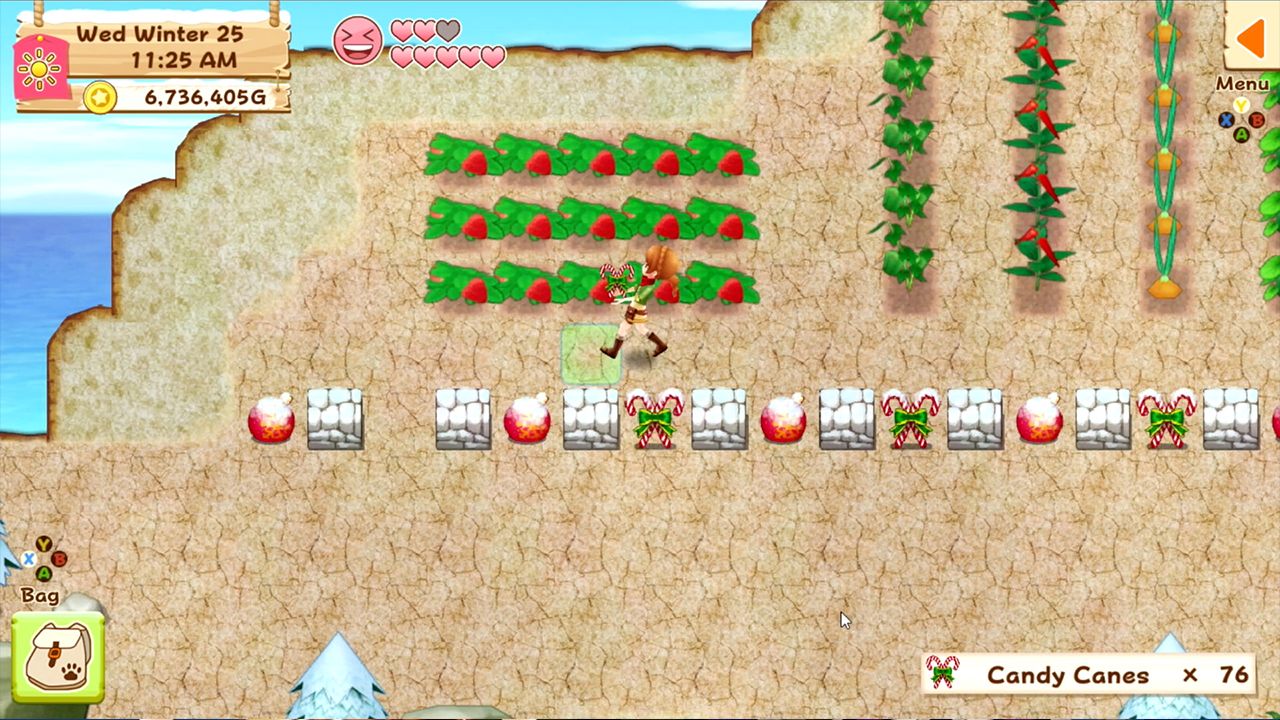 Screenshot from Harvest Moon: Light of Hope Special Edition (2/6)