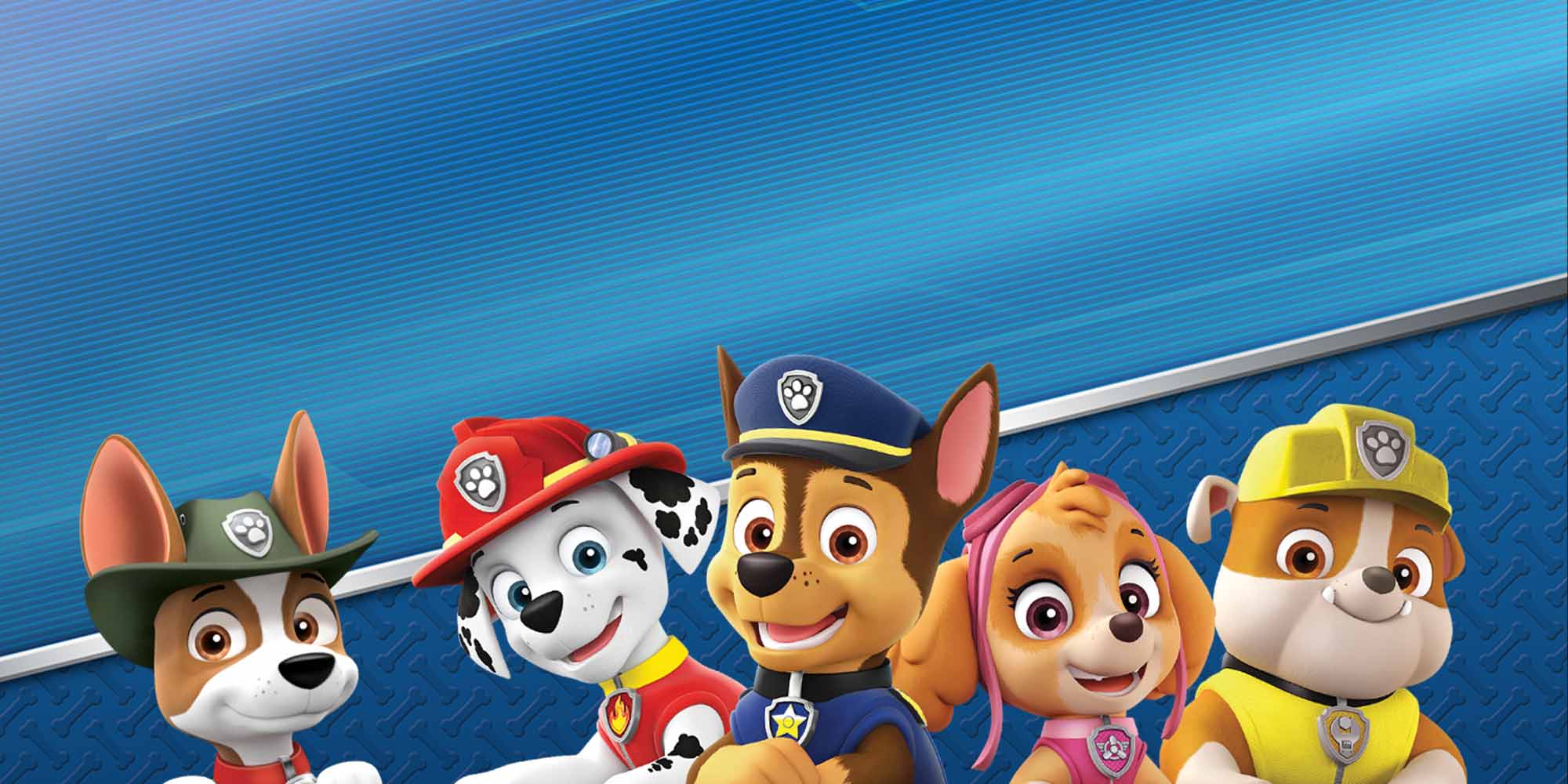 Paw Patrol: On a Roll