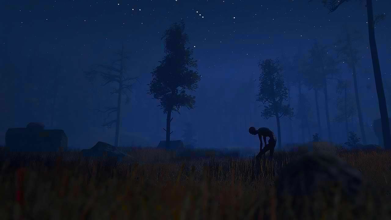 Screenshot from Through the Woods (3/10)